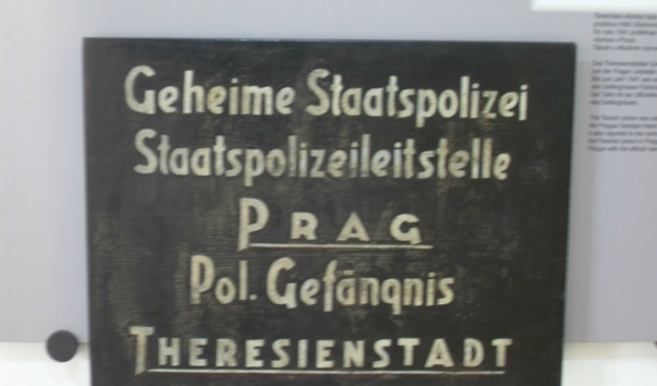 SDC14952