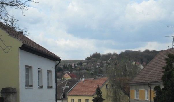 SDC14944