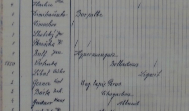 SDC14962