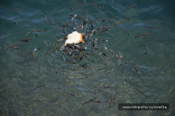 photo 511623
