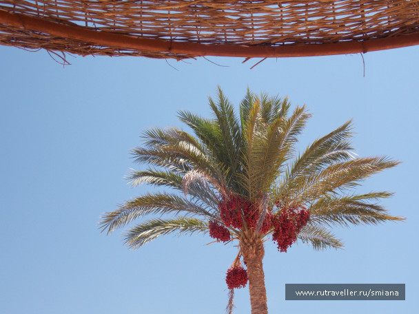 photo 450758