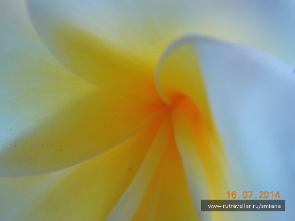 photo 810015