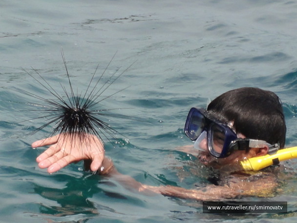 photo 498502