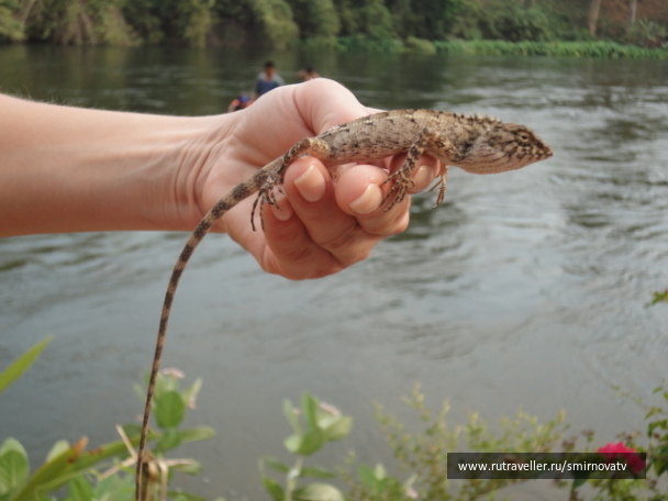 photo 498505