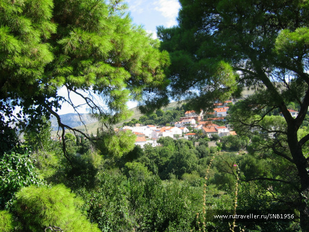 photo 365445