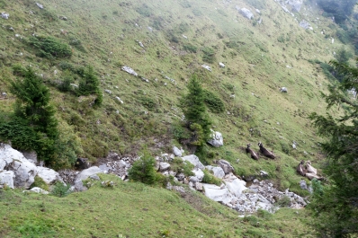photo 891858