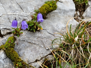 photo 891874