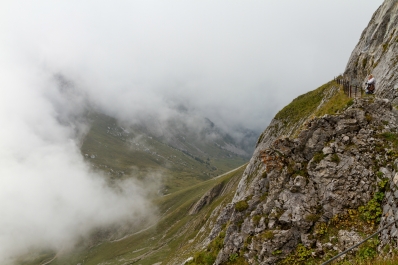 photo 891876