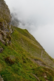 photo 891883