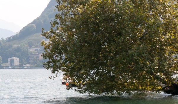 Луганское озеро