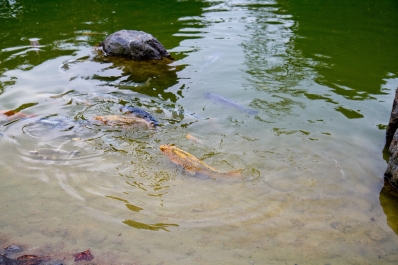 photo 896312