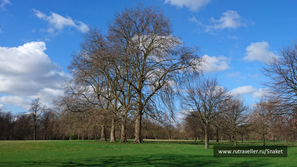 photo 1489021