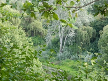 photo 338670