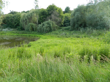 photo 338684