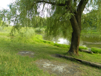 photo 338686