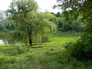 photo 338689
