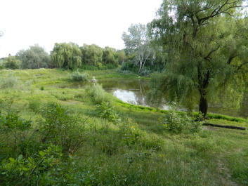 photo 338690