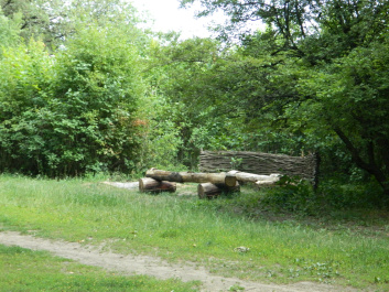 photo 338691