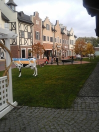 photo 1177324