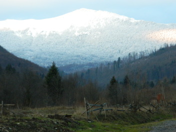 photo 1197882