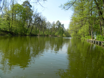 photo 338717