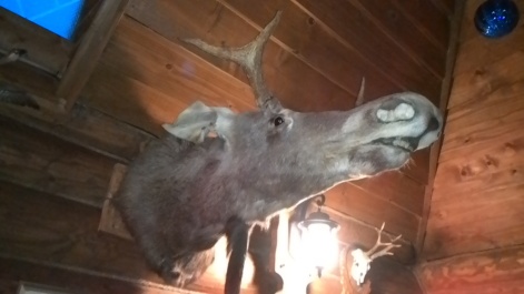 photo 1197866