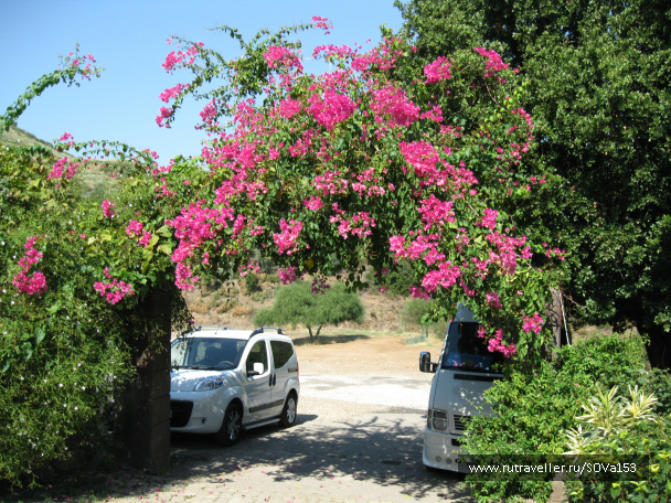 photo 78465