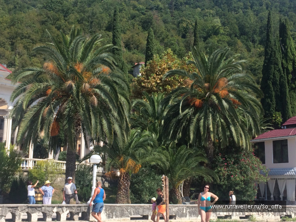 photo 1833813