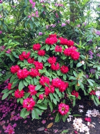 photo 756231