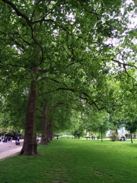 photo 1042136