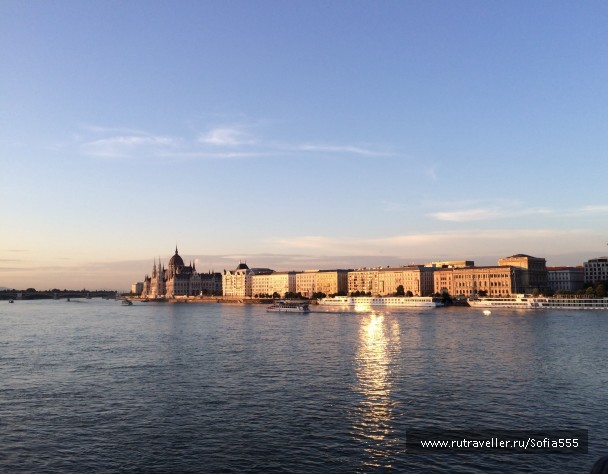 photo 1314446