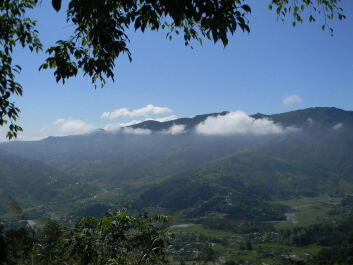 photo 1101153