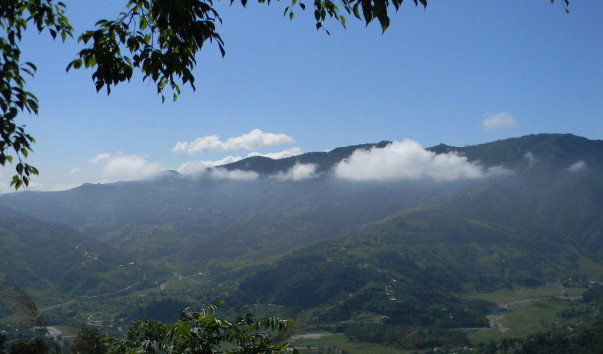 DSCN1638