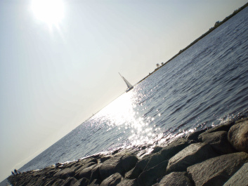 photo 333745