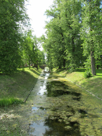 photo 256755