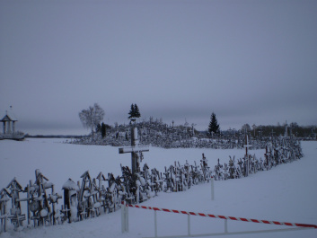 photo 259241