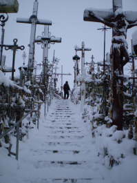 photo 259243