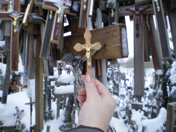 photo 259247