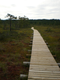 photo 264369