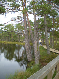 photo 264371