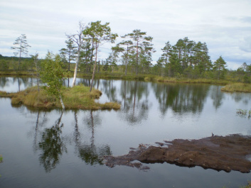 photo 264372