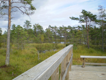 photo 264385