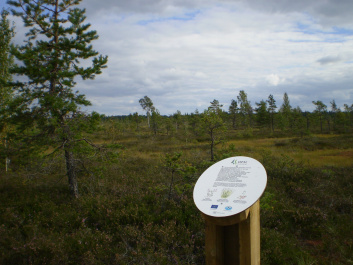 photo 264386