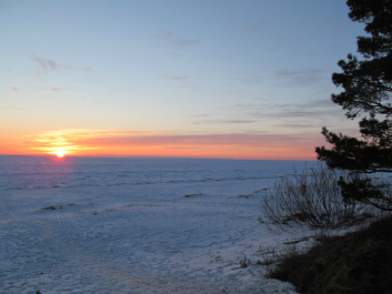 photo 309821
