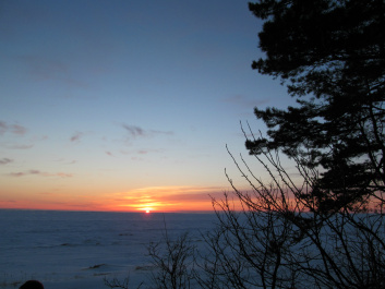 photo 309824
