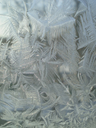 photo 315013