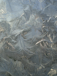 photo 315015