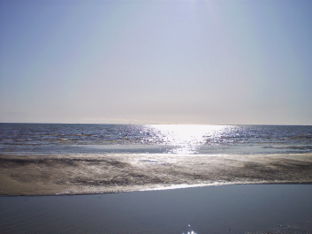 photo 402622