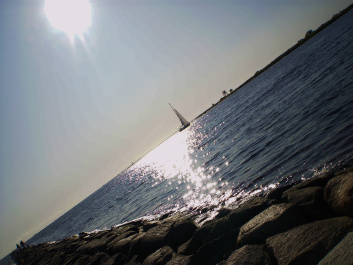 photo 402624