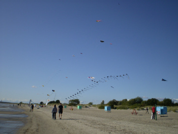 photo 402625